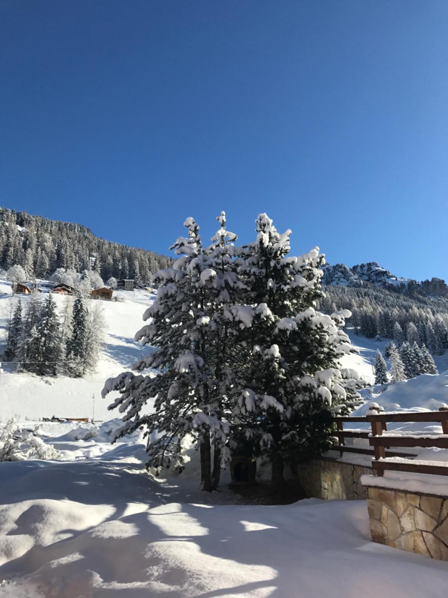 Cesa Mandi E Miky Appartement Canazei Buitenkant foto